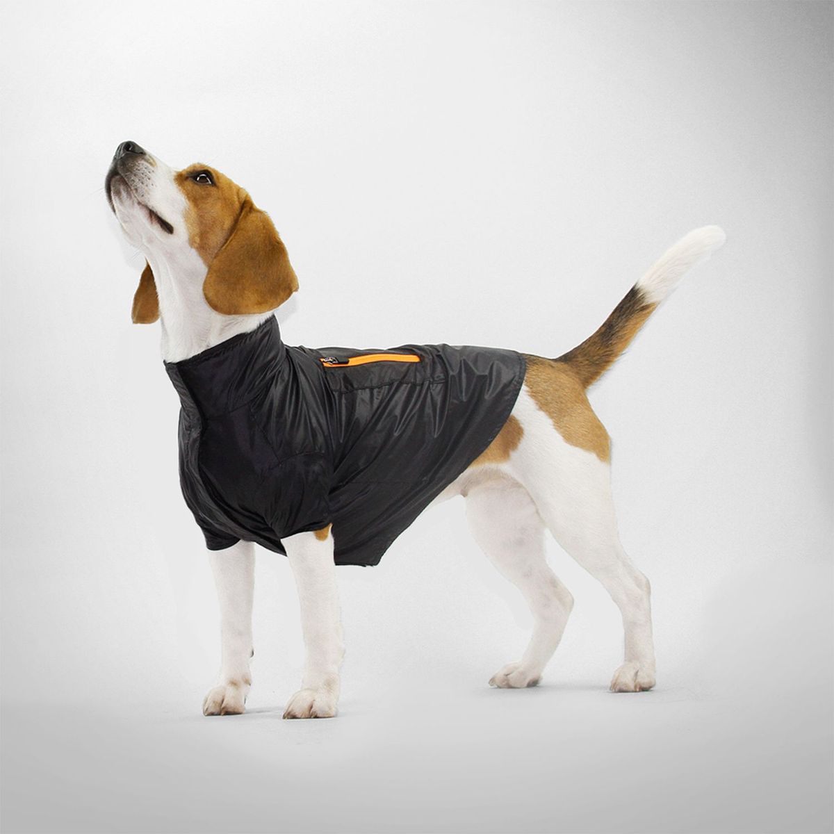 NADRA - Chaqueta Pet Impermeable Neon Black