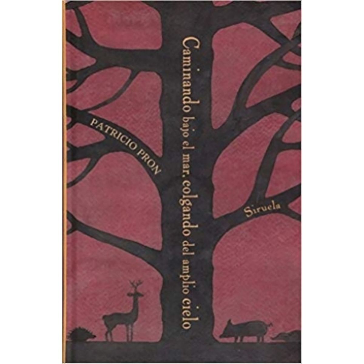 IBERO - @CAMINANDO BAJO EL MAR