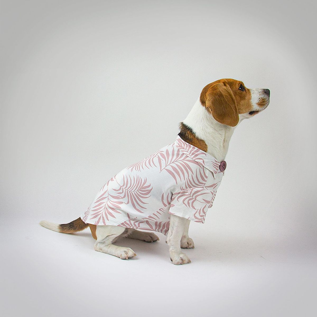 NADRA - Camisa Pet Nude Bamboo