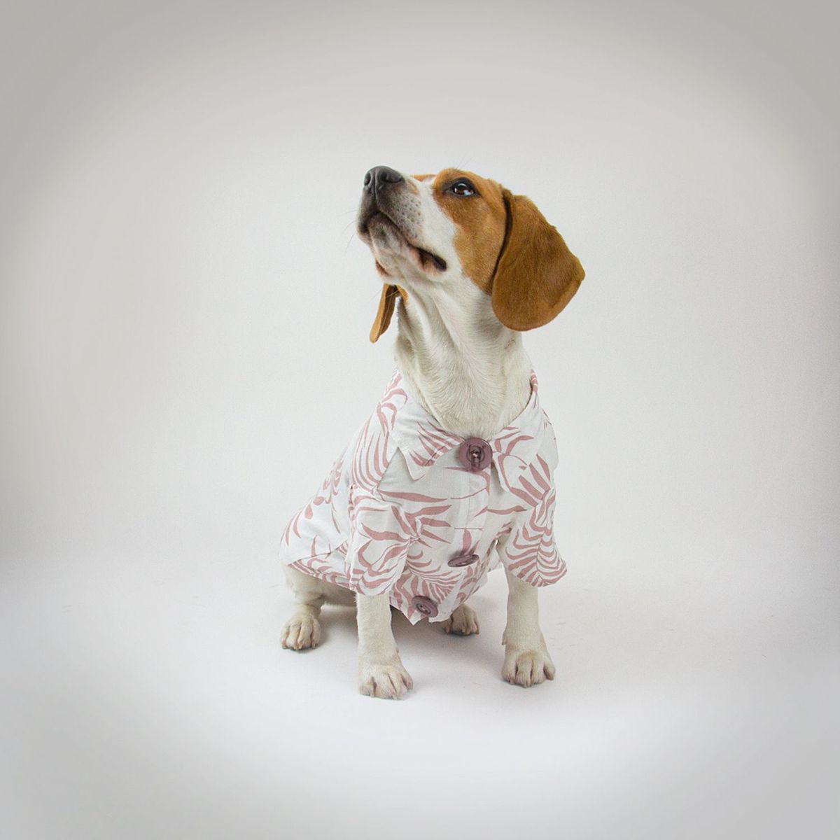 NADRA - Camisa Pet Nude Bamboo