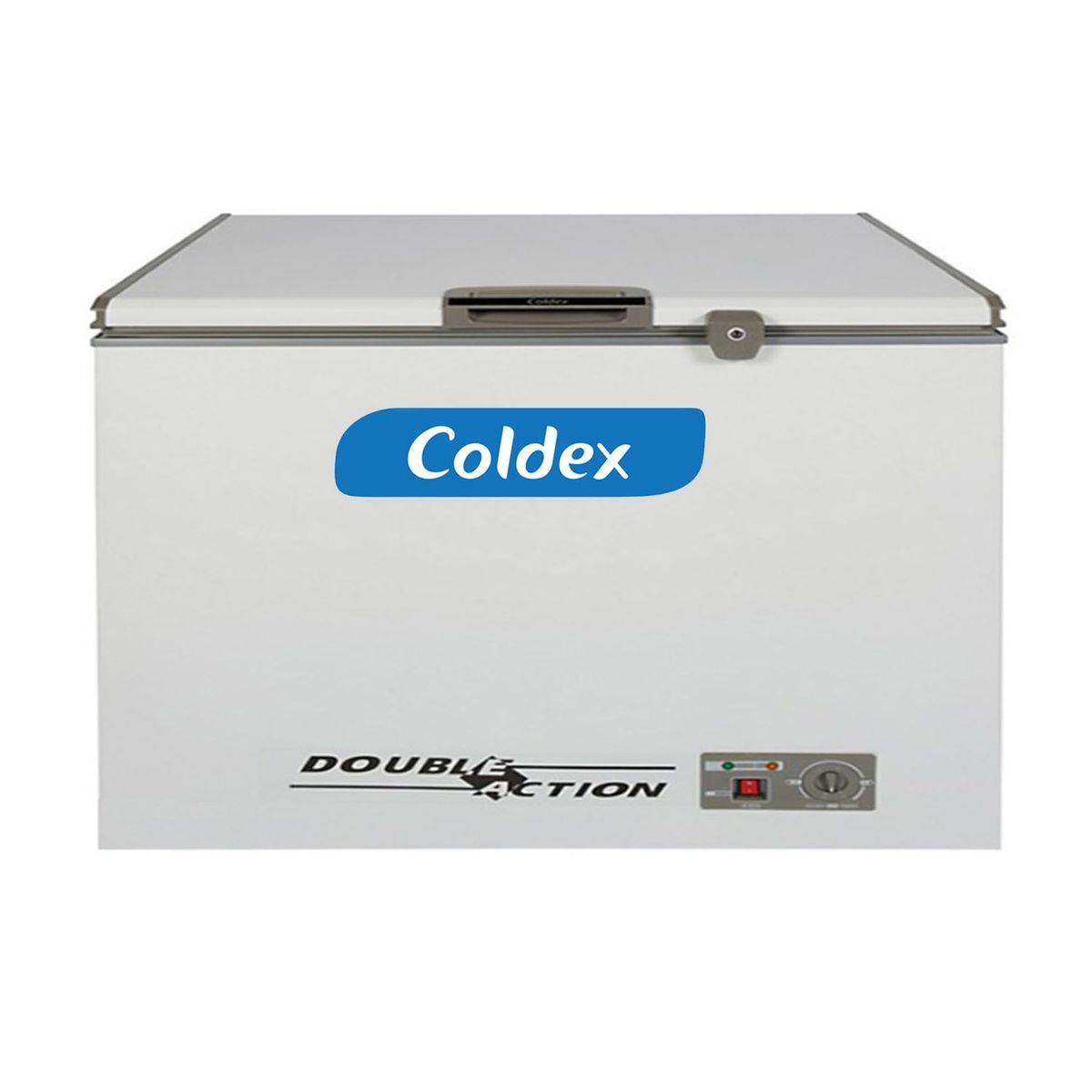 COLDEX - Congeladora 256 Lt CH10