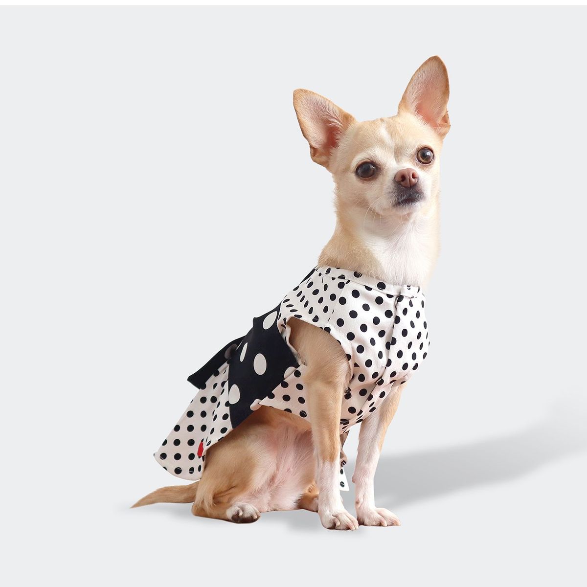 CHAMAQUITA STYLE - Vestido Chamaquita is Love