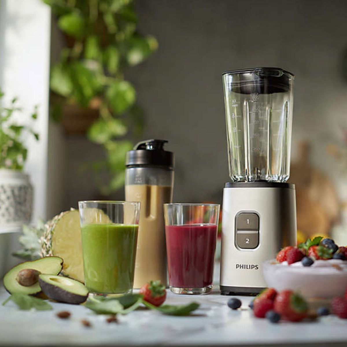 PHILIPS - Licuadora Personal HR2604_80