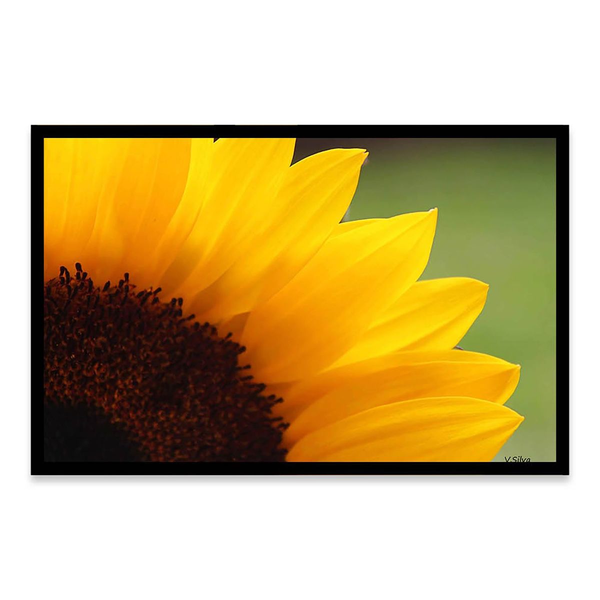 KUELGA - Cuadro Girasol Kuelga