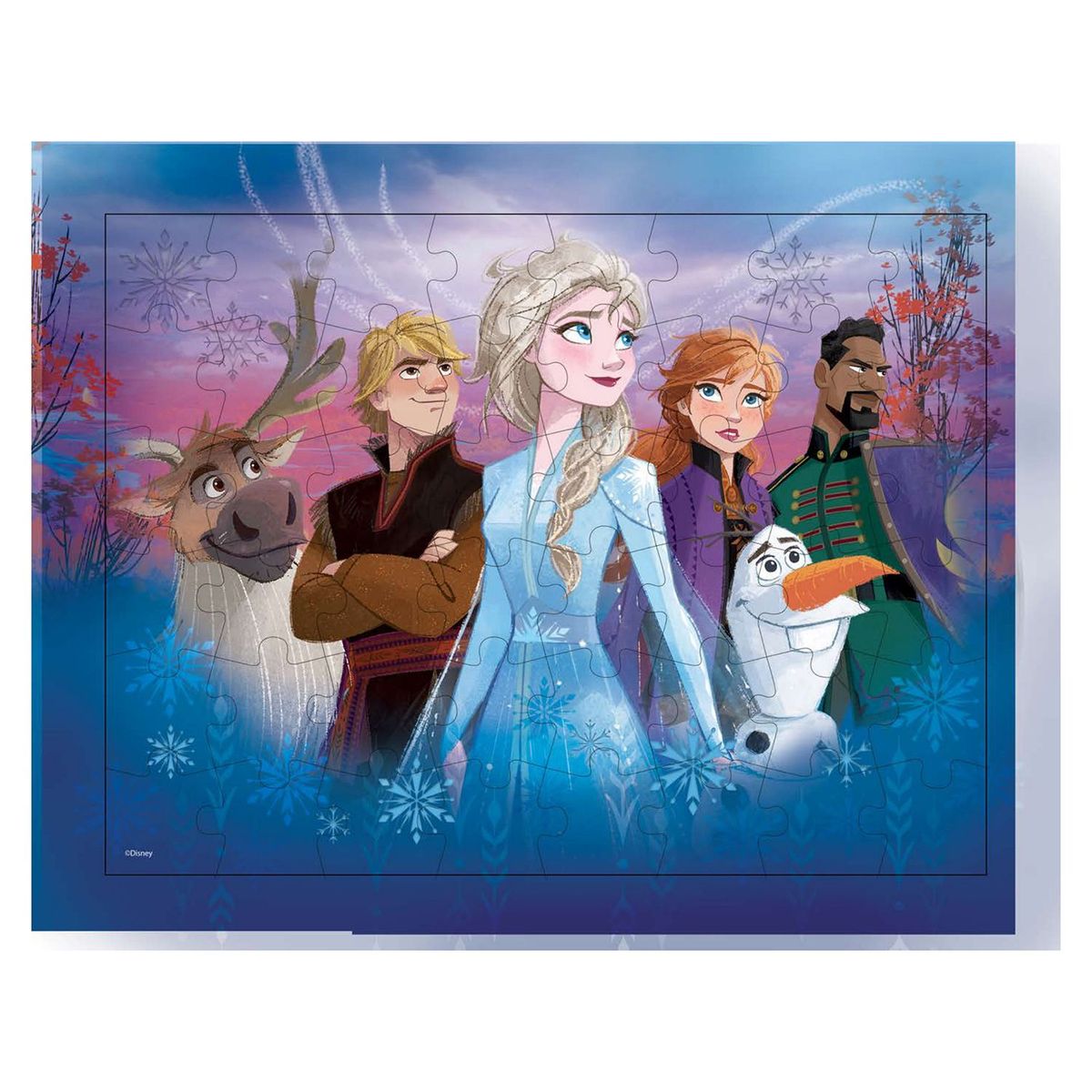 CARDINAL - Set x 3 Rompecabezas Lenticular 3D Frozen