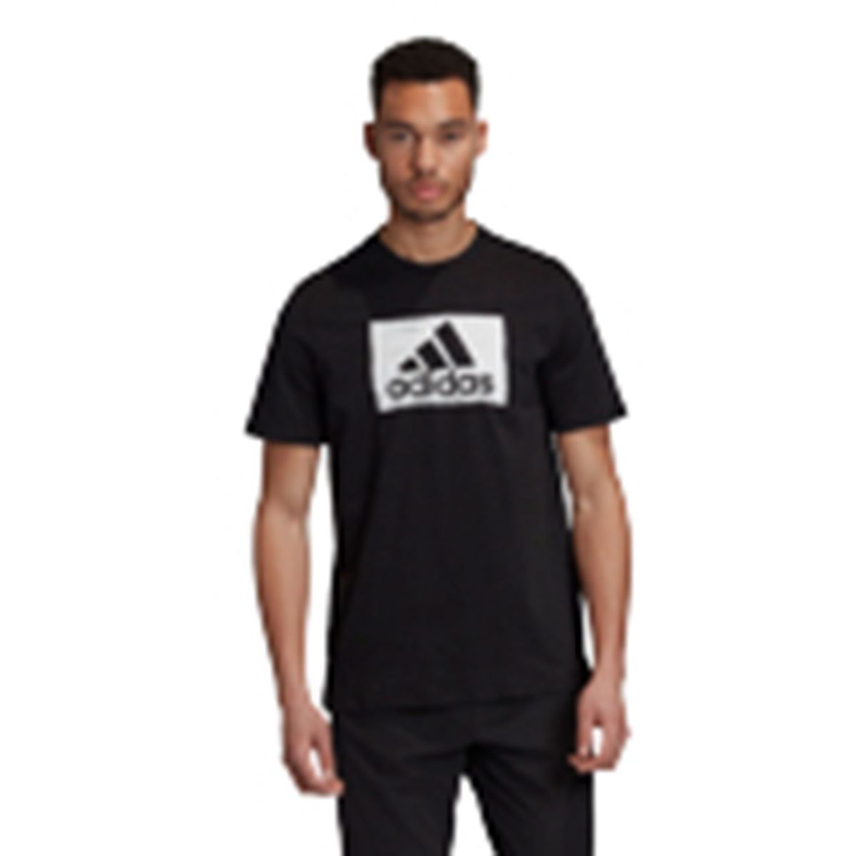 ADIDAS - Polo Hombre  Deportivo Graphics