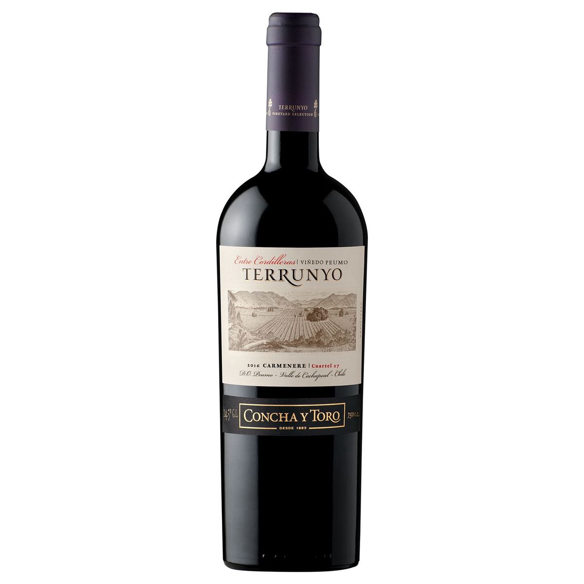 VIÑA CONCHA Y TORO - Terrunyo Carmenere X 750