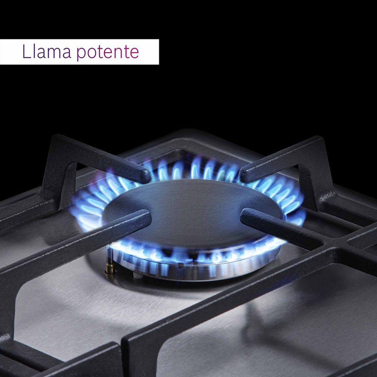BOSCH - Encimera a Gas Serie 2 PGP6G5B90L