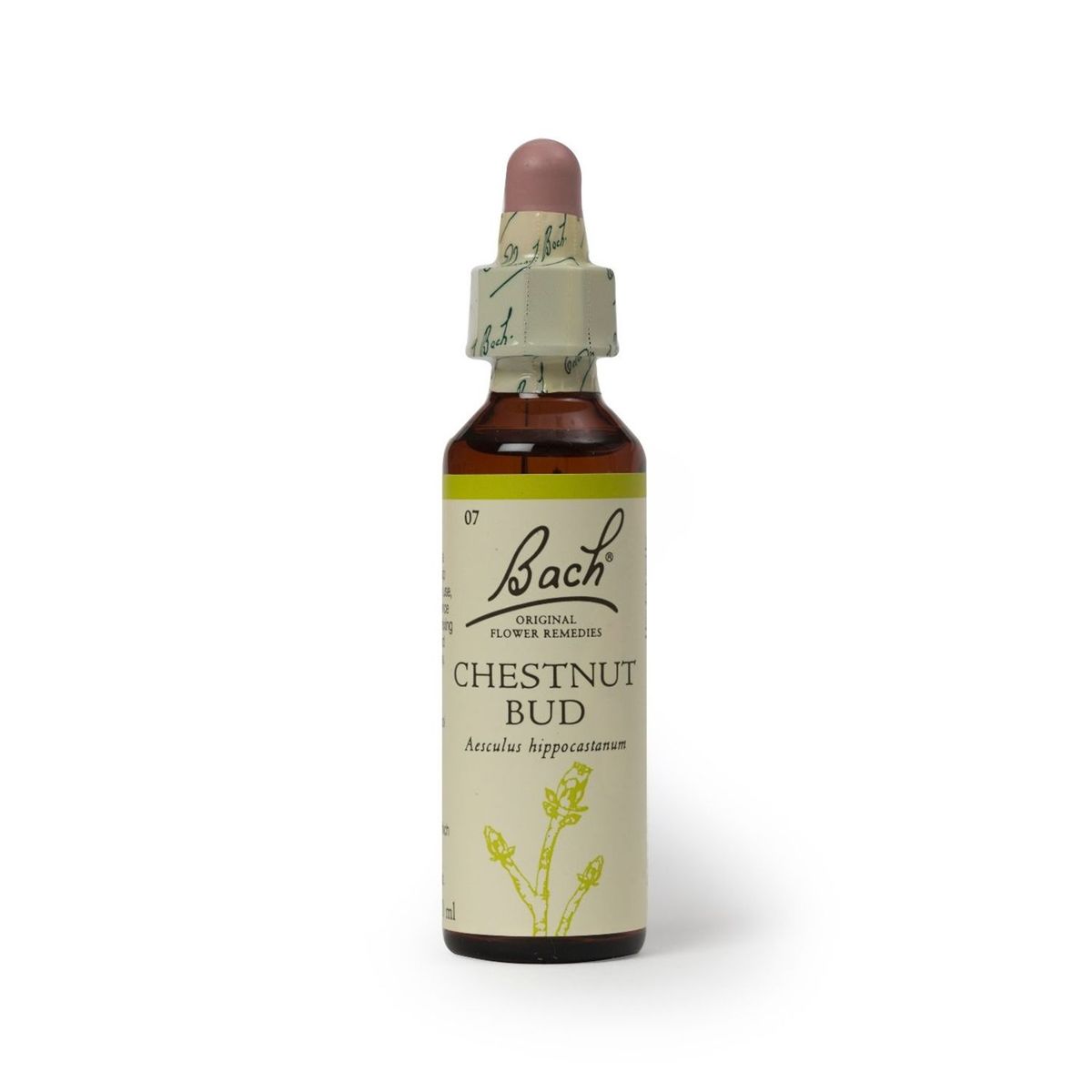 BACH - Chestnut Bud 20ml  Aprendizaje