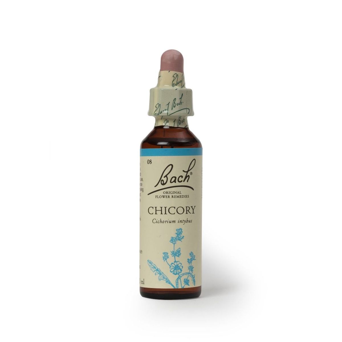 BACH - Chicory 20ml  Amor 