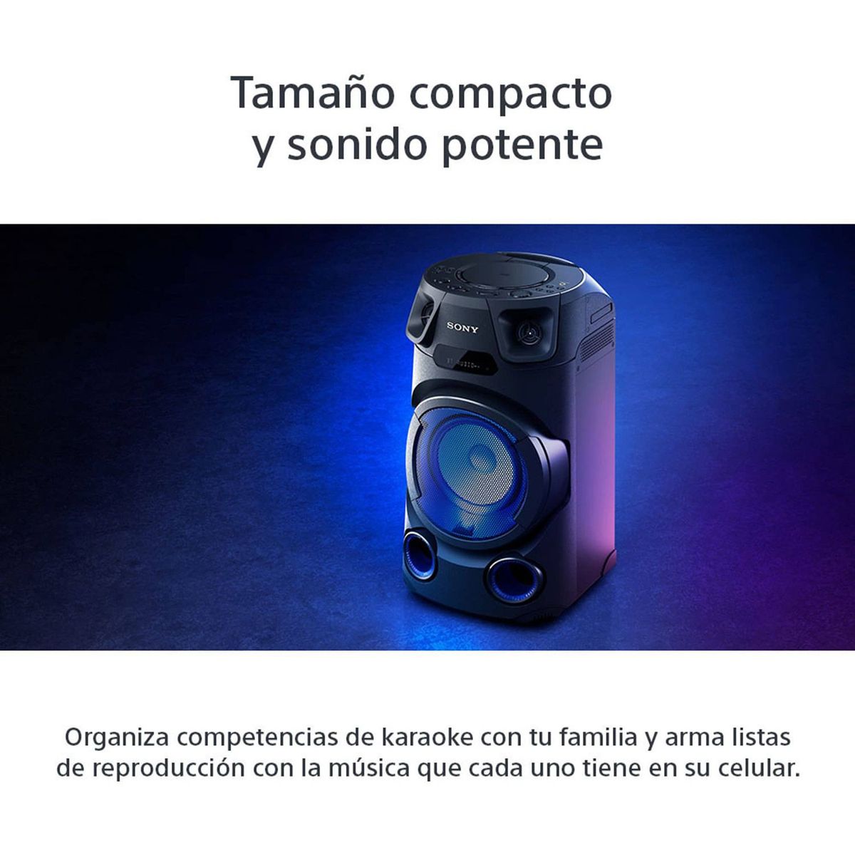 SONY - Sony Equipo de Sonido MHC-V13 con Bluetooth y Karaoke