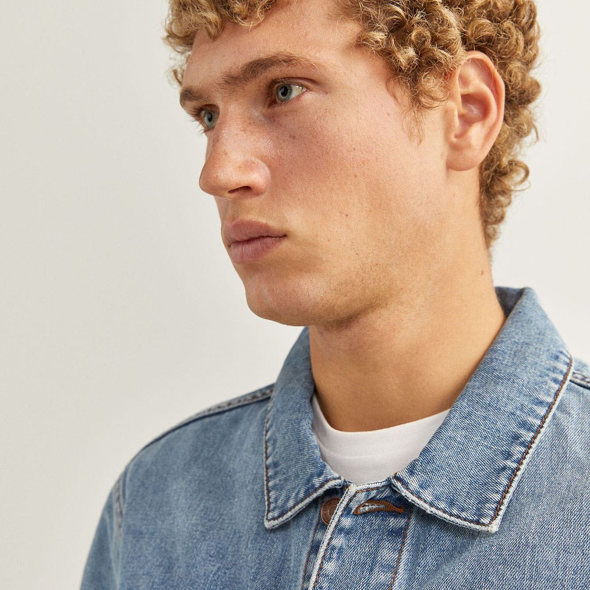 SPRINGFIELD - Casaca Hombre