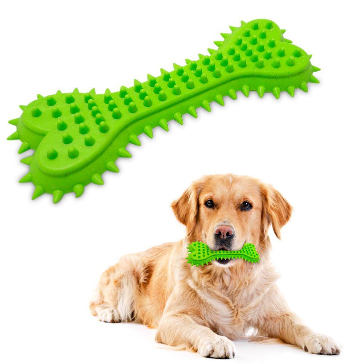 SM - Juguete de Goma para Perro - Hueso Verde