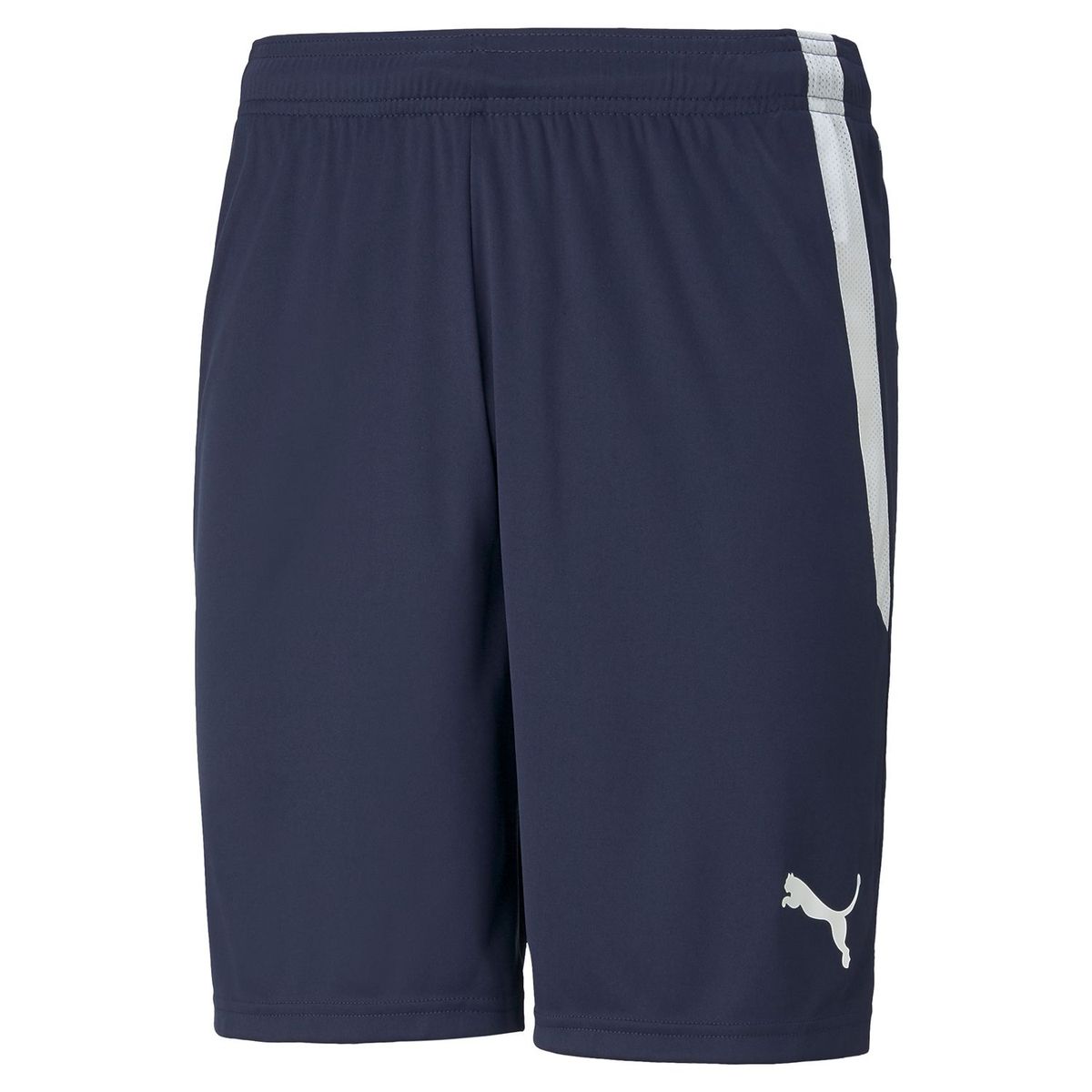 PUMA - Short Training Hombre teamLIGA Short