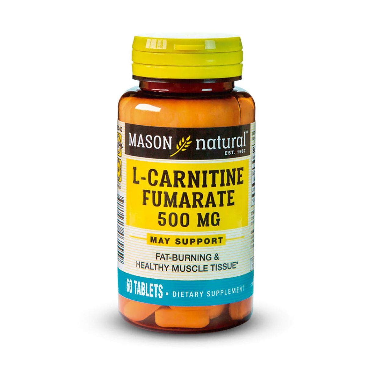 - L-Carnitina 500 MG