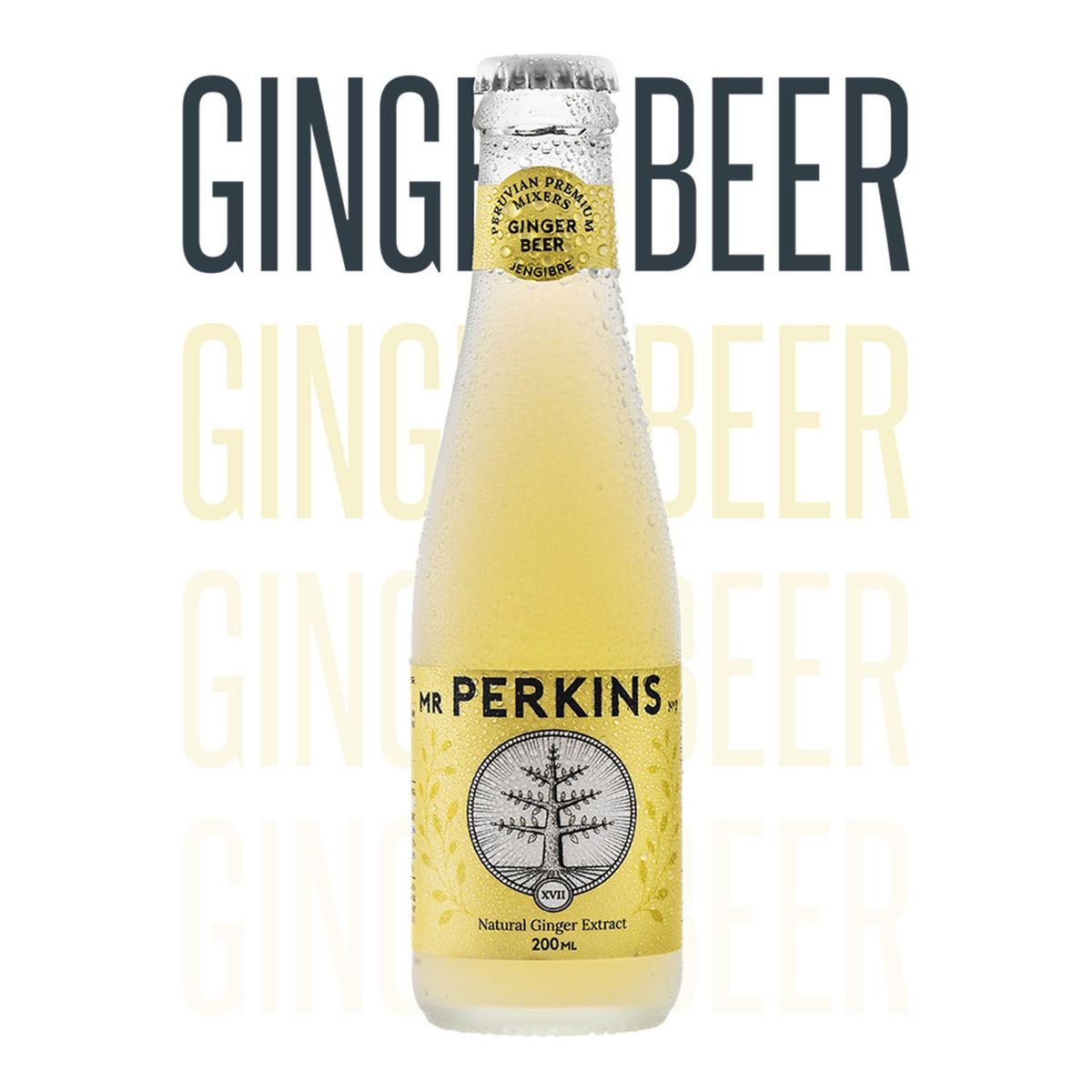MR PERKINS - Mr Perkins Ginger Beer Caja de 24 und. de 200ml