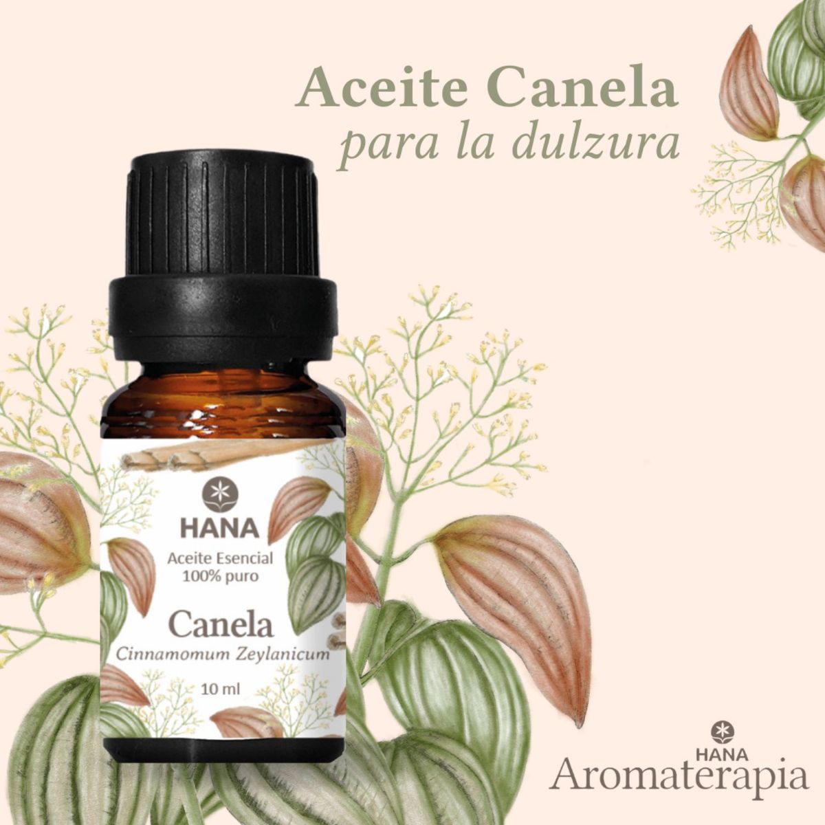 HANA SALUD - Aceite esencial de Canela 10 ml