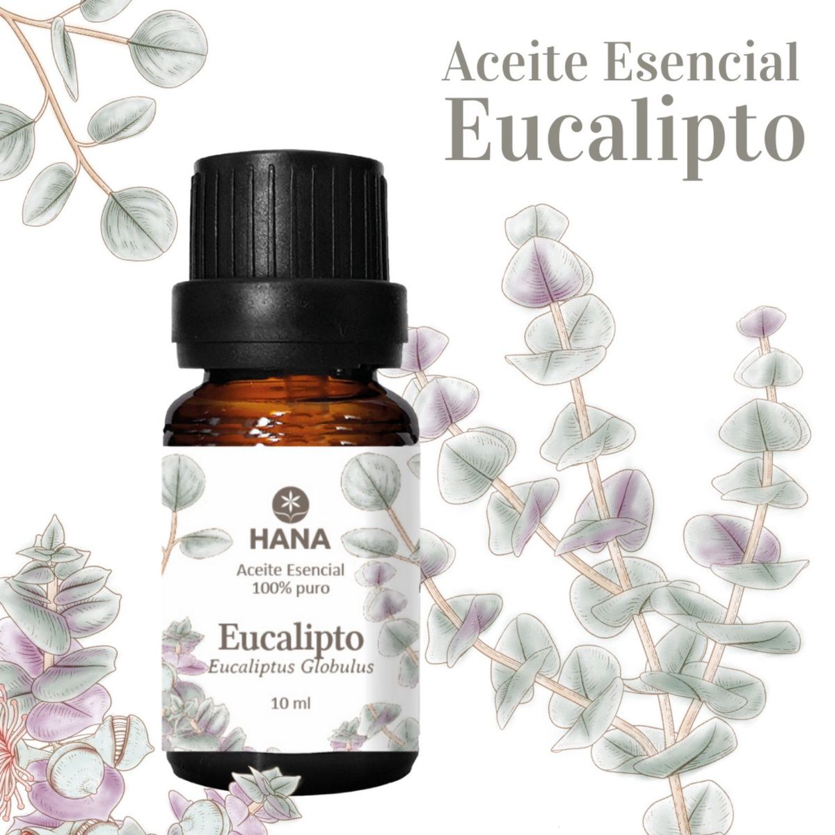 HANA SALUD - Aceite esencial Eucalipto 10 ml