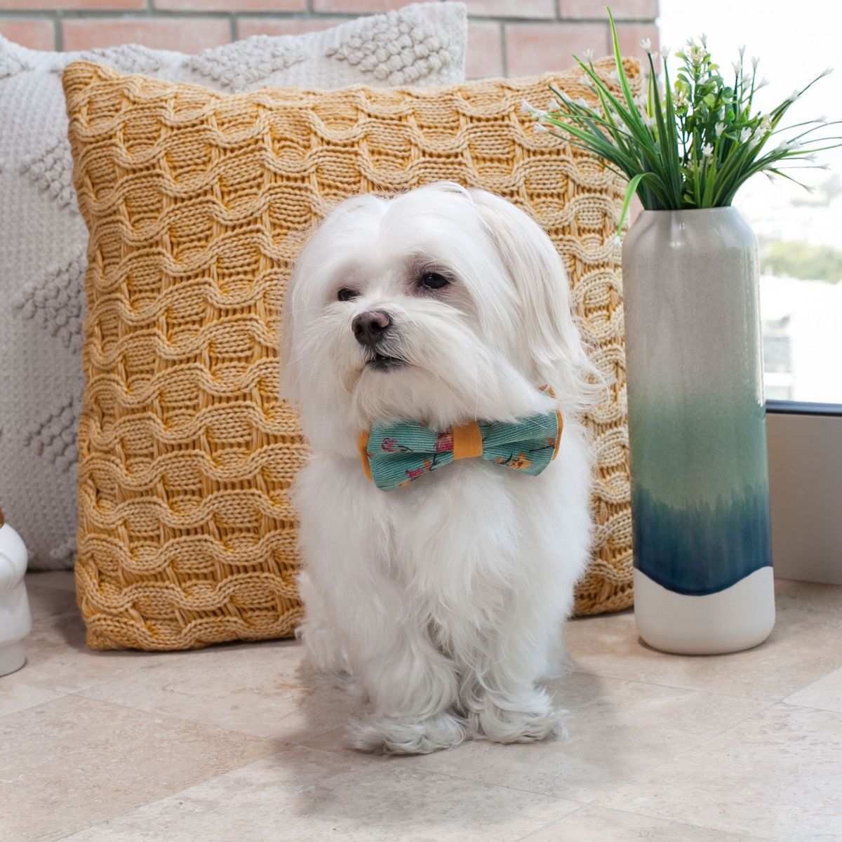 EL BAUL DE COCO - Collar Eleganzza