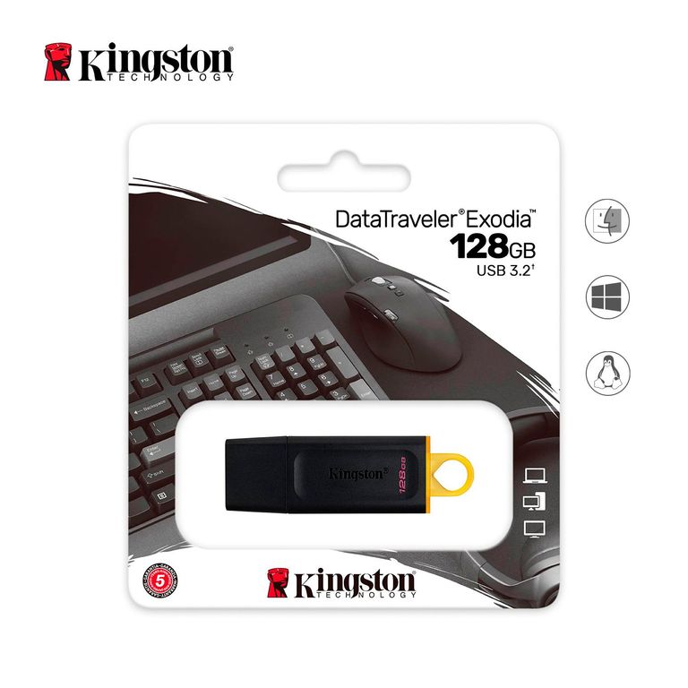 Memoria USB Kingston DTX/128GB