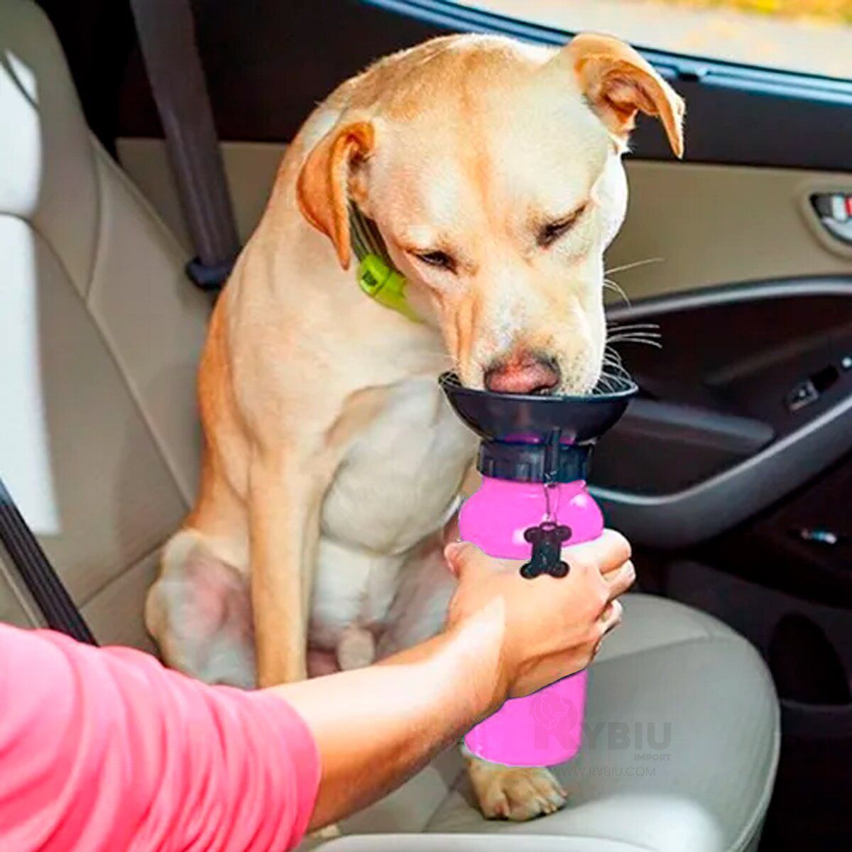 GENERICO - AquaDog botella tomatodo para mascota Rosa