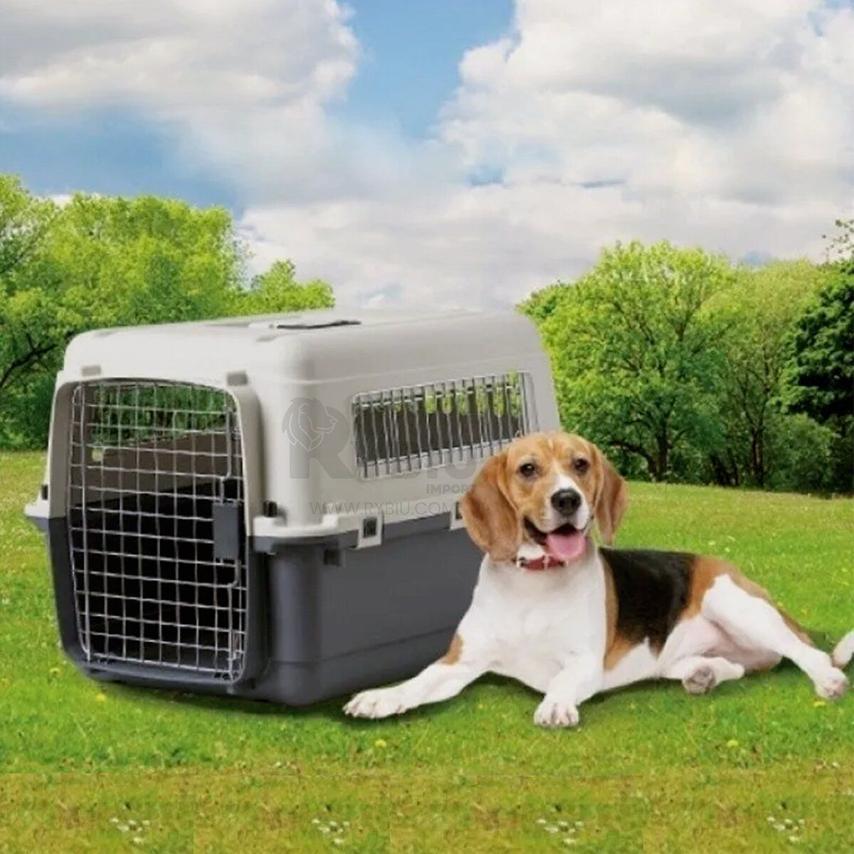 GENERICO - Kennel Transportador De Perro L70Black