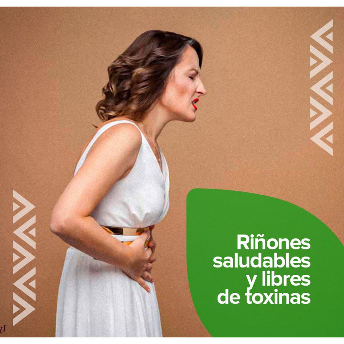 NATURA - Penca de Tuna Concentrado Santa Natura