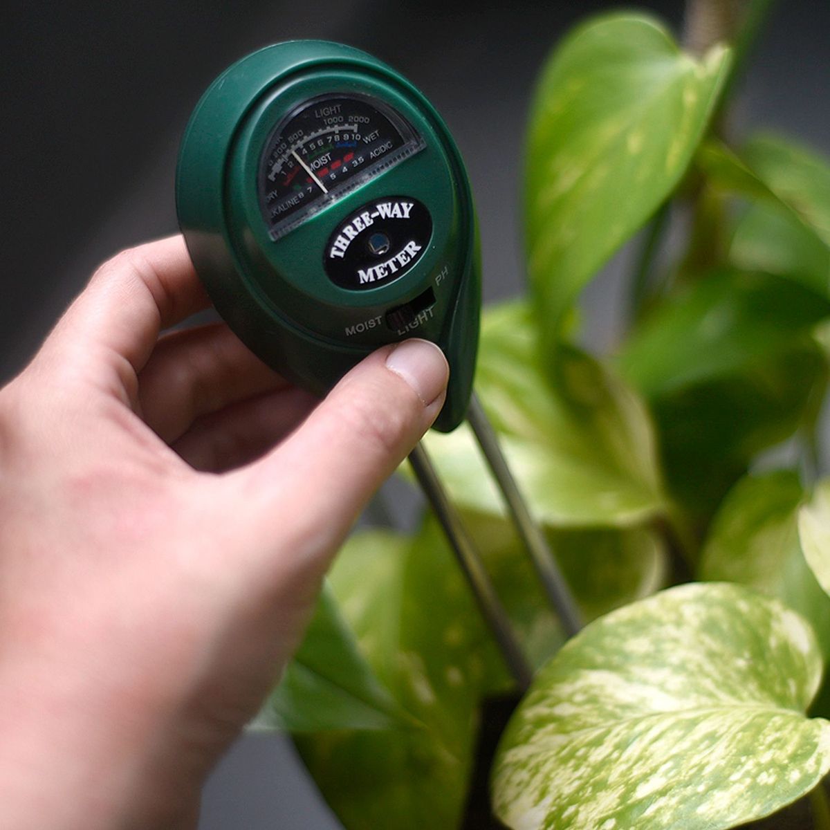 HIERBA Y LUISA COMPANY - Medidor de Humedad para Plantas