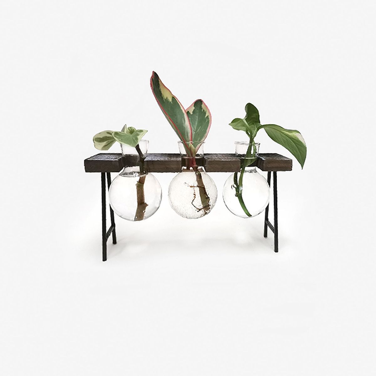 HIERBA Y LUISA COMPANY - Macetas de Propagación Hidro Mesita