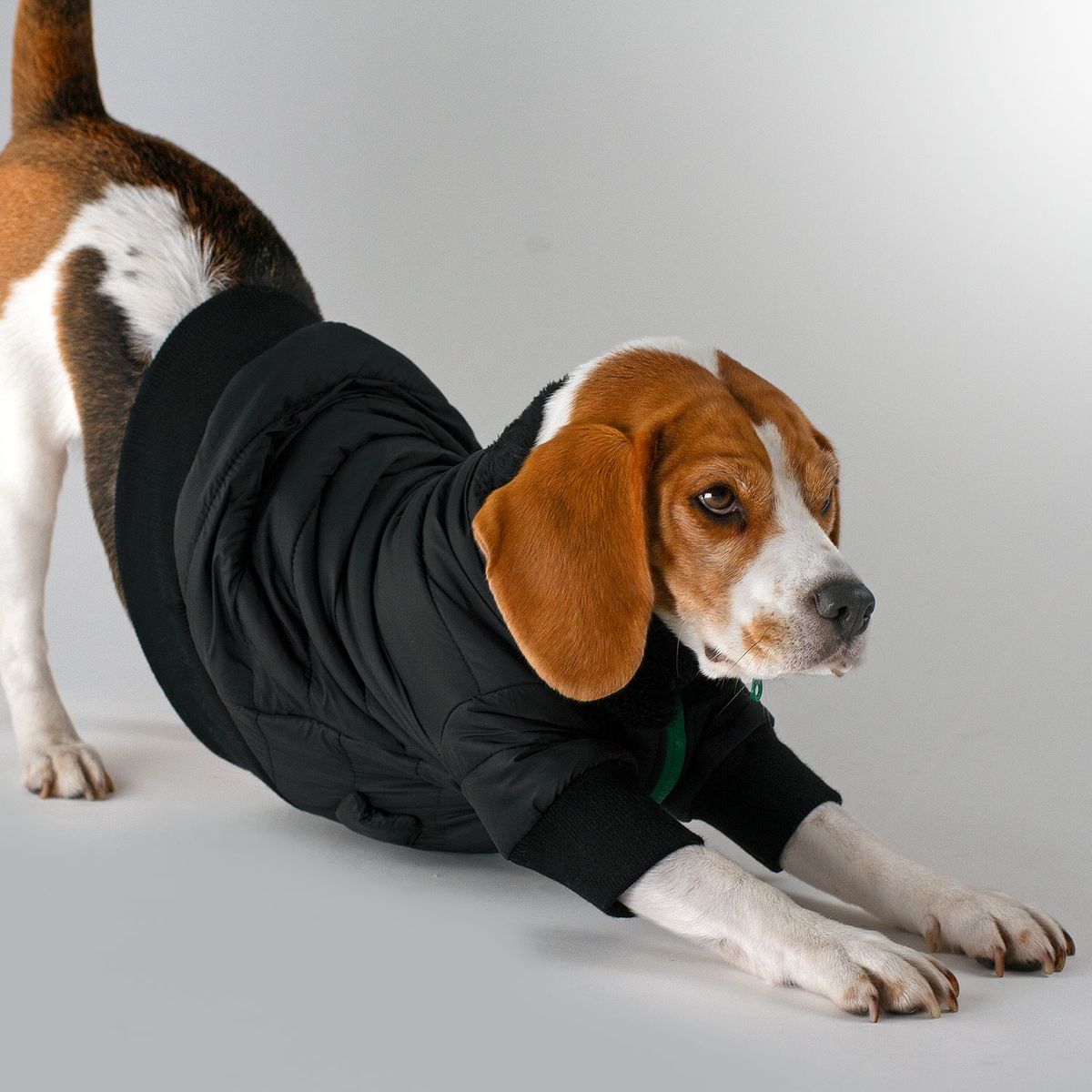 NADRA - Bomber Pet Magic Black