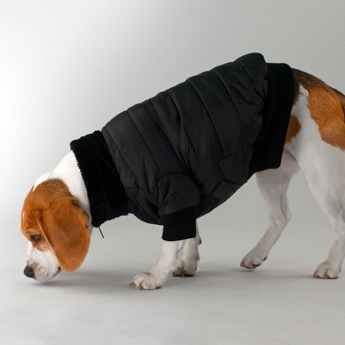 NADRA - Bomber Pet Magic Black