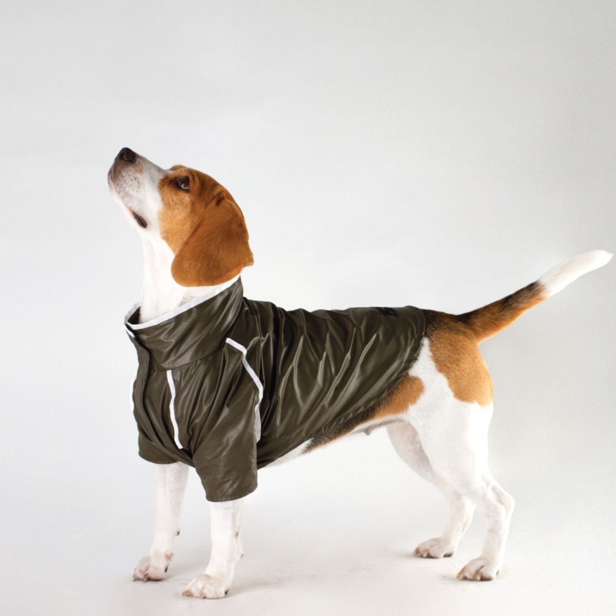 NADRA - Impermeable Oli Glow