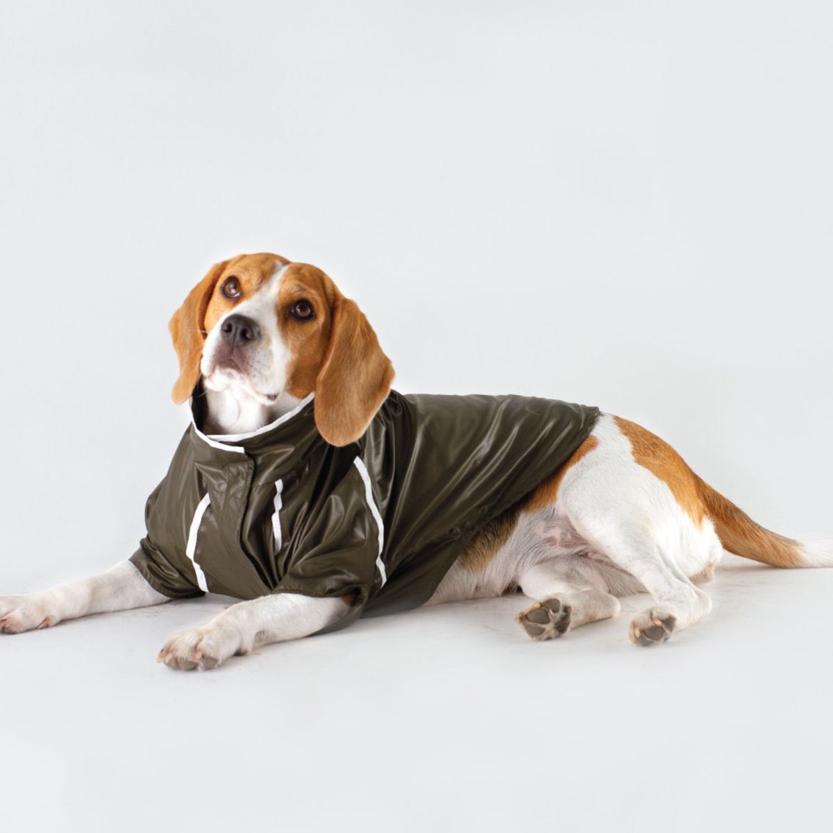 NADRA - Impermeable Oli Glow