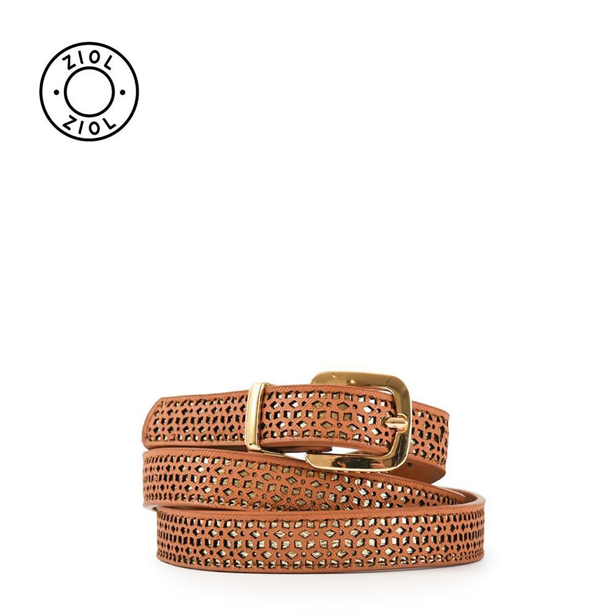 AMPHORA - Cinturon Ziol Hiruela Marron T/l