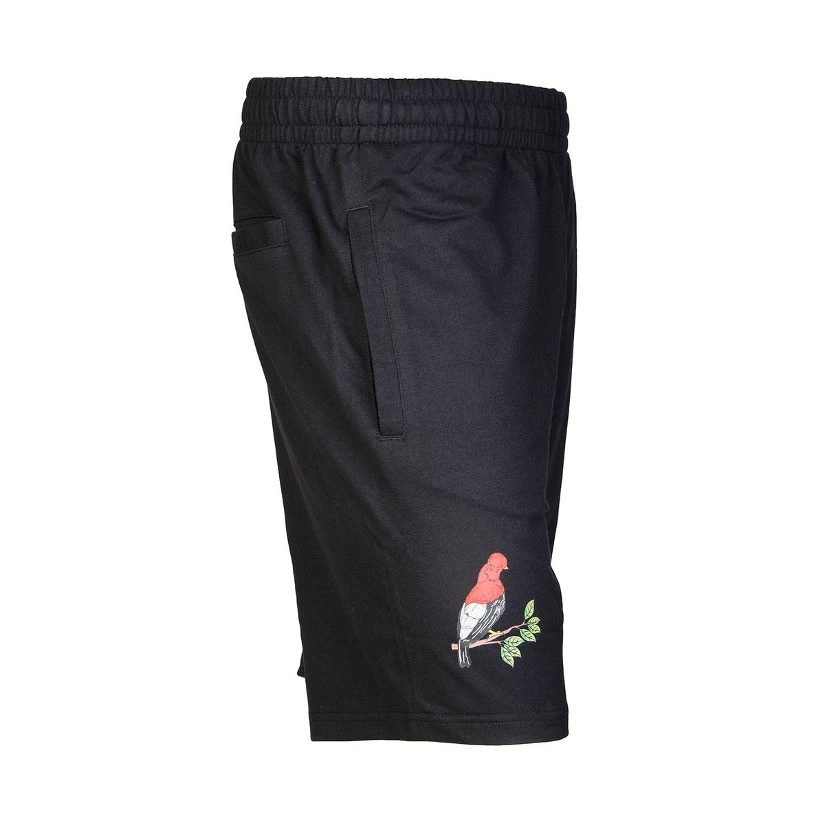 UMBRO - Short Gallito De Las Rocas Umbro Hombre