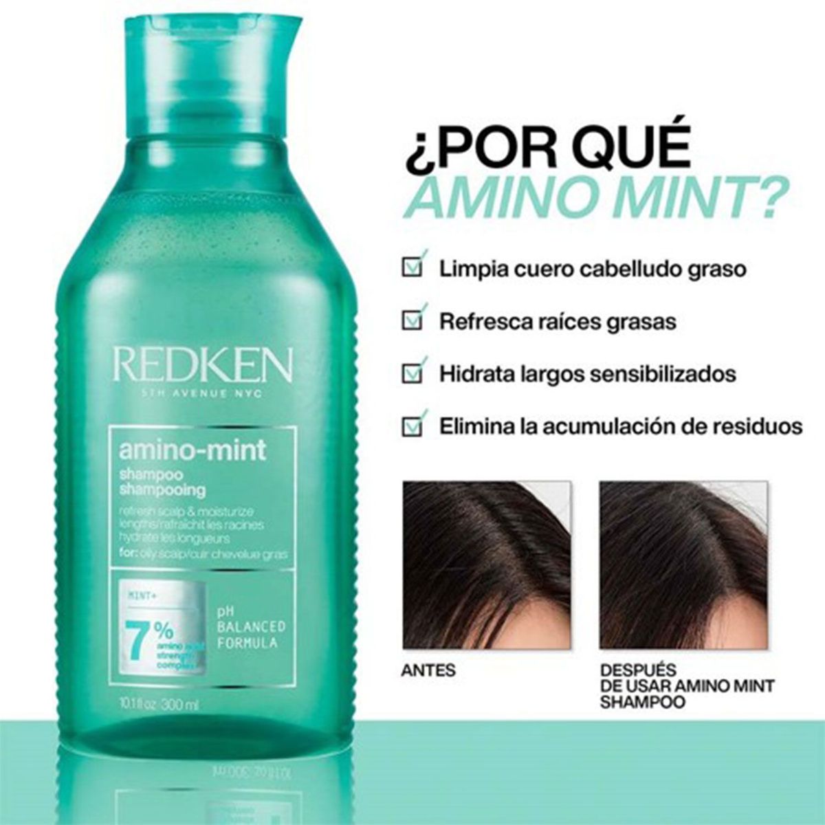 REDKEN - Shampoo para cuero cabelludo graso Amino Mint 300 ml