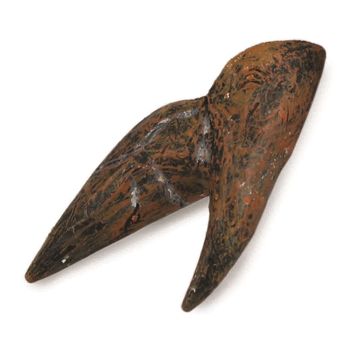 COLLECTA - Réplica Collecta Diente de Triceratops