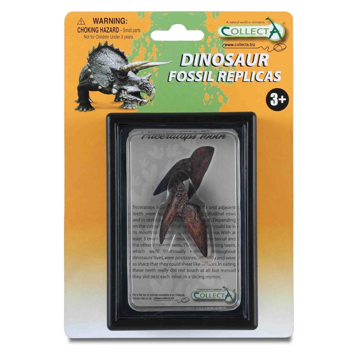 COLLECTA - Réplica Collecta Diente de Triceratops