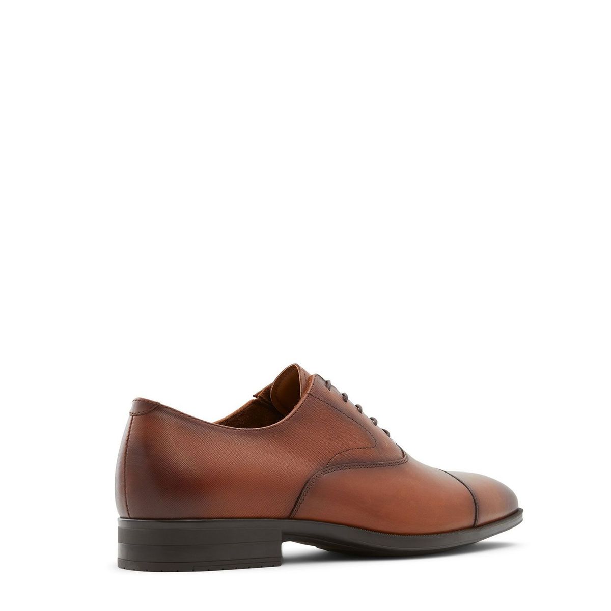 ALDO - Zapatos formales Hombre Miraylle Aldo Marrón