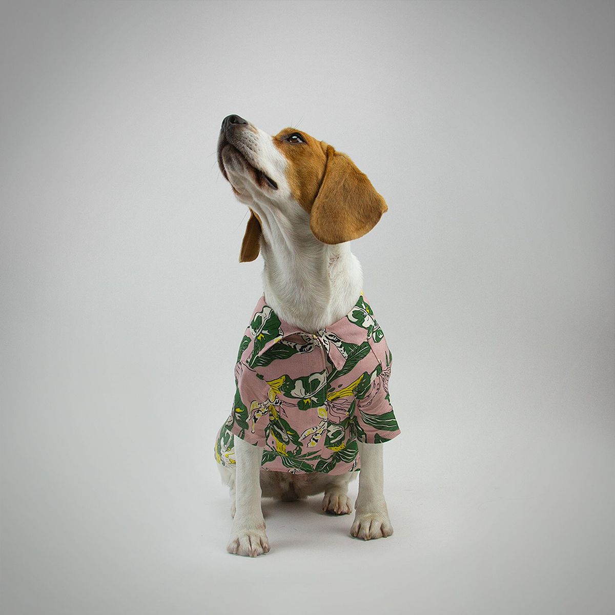 NADRA - Camisa Pet Florencia