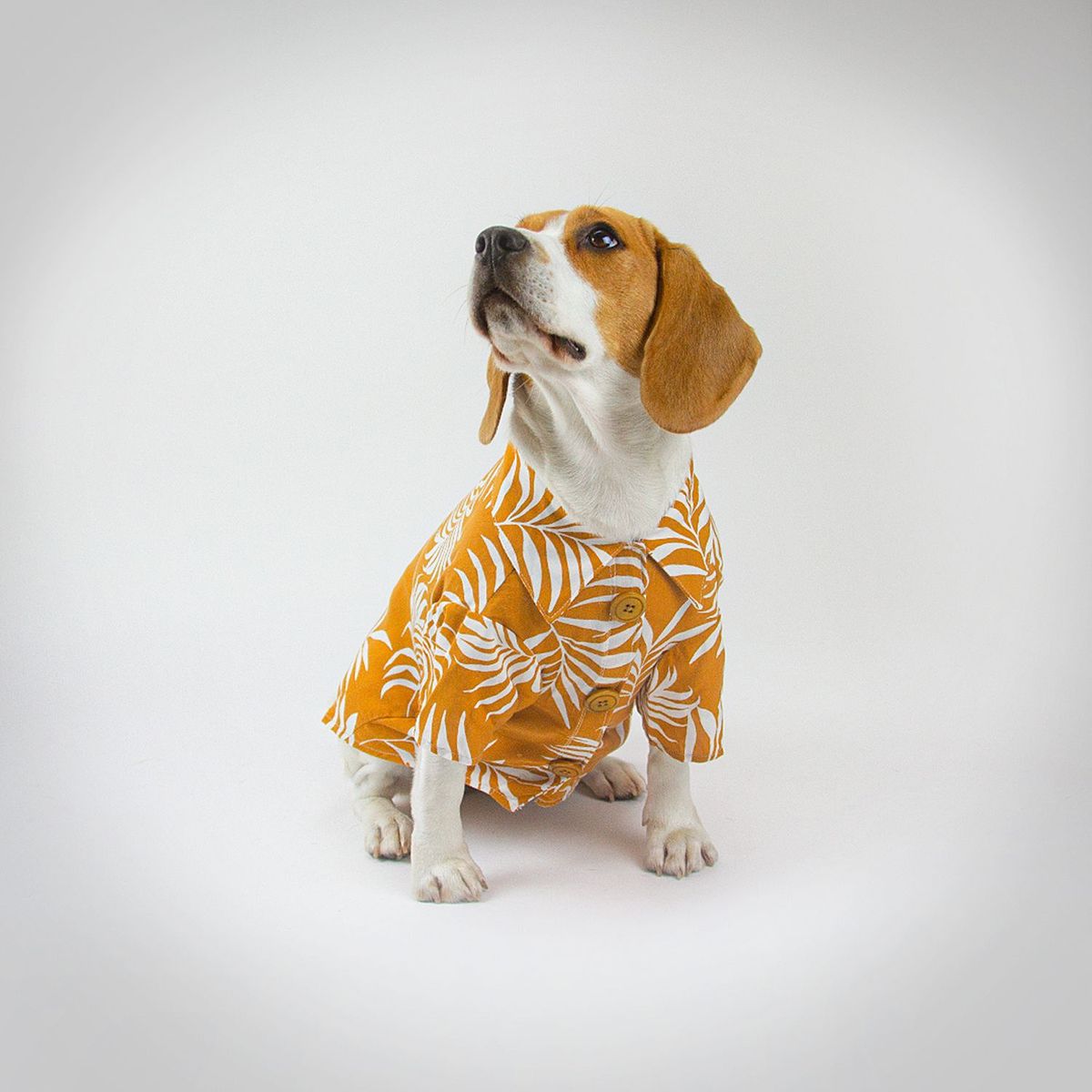 NADRA - Camisa Pet Bamboo
