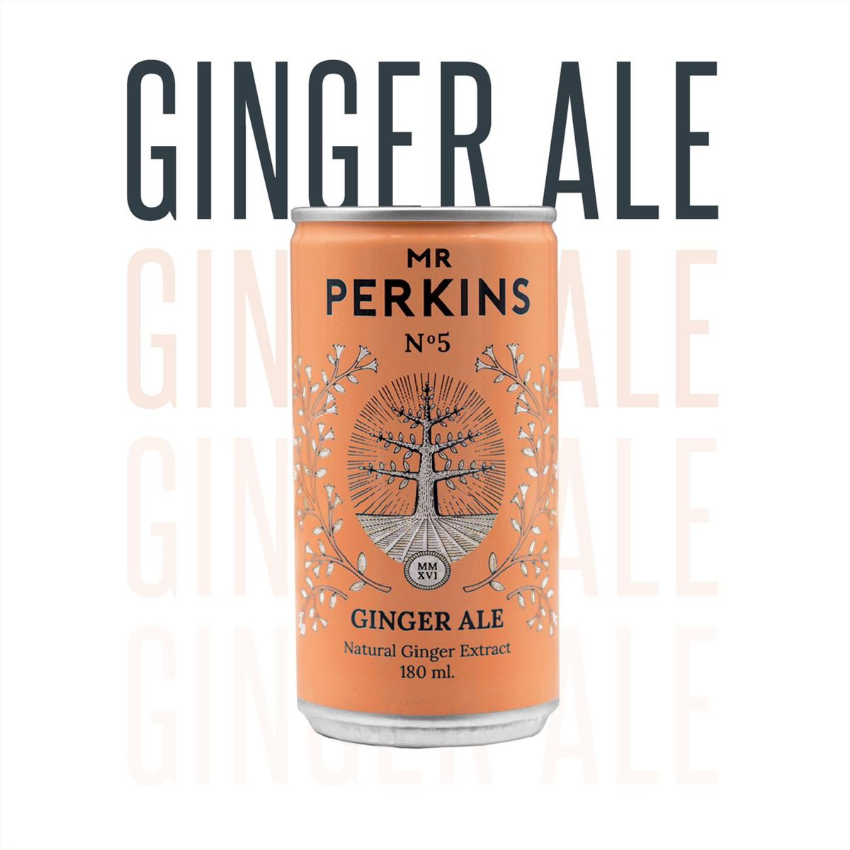 MR PERKINS - Mr Perkins Ginger Ale Caja 24 und.