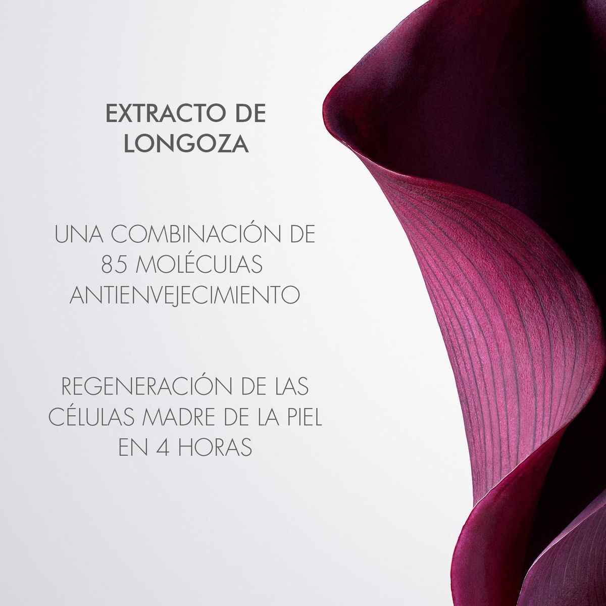 DIOR - Capture Totale Le Serum