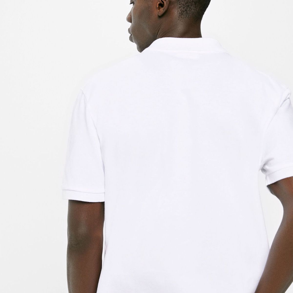 SPRINGFIELD - Polo hombre springfield