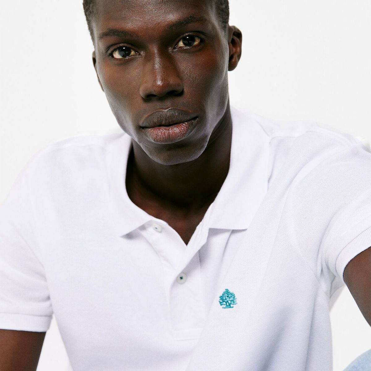 SPRINGFIELD - Polo hombre springfield