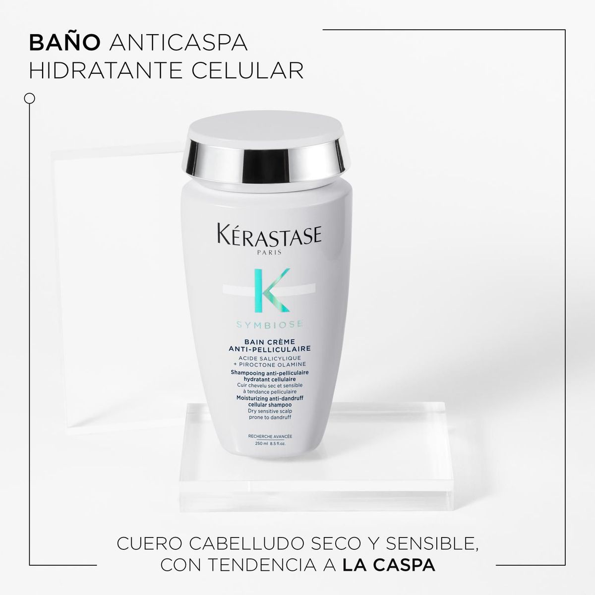KERASTASE - Shampoo Symbiose Creme anti caspa Cuero cabelludo seco 250ml