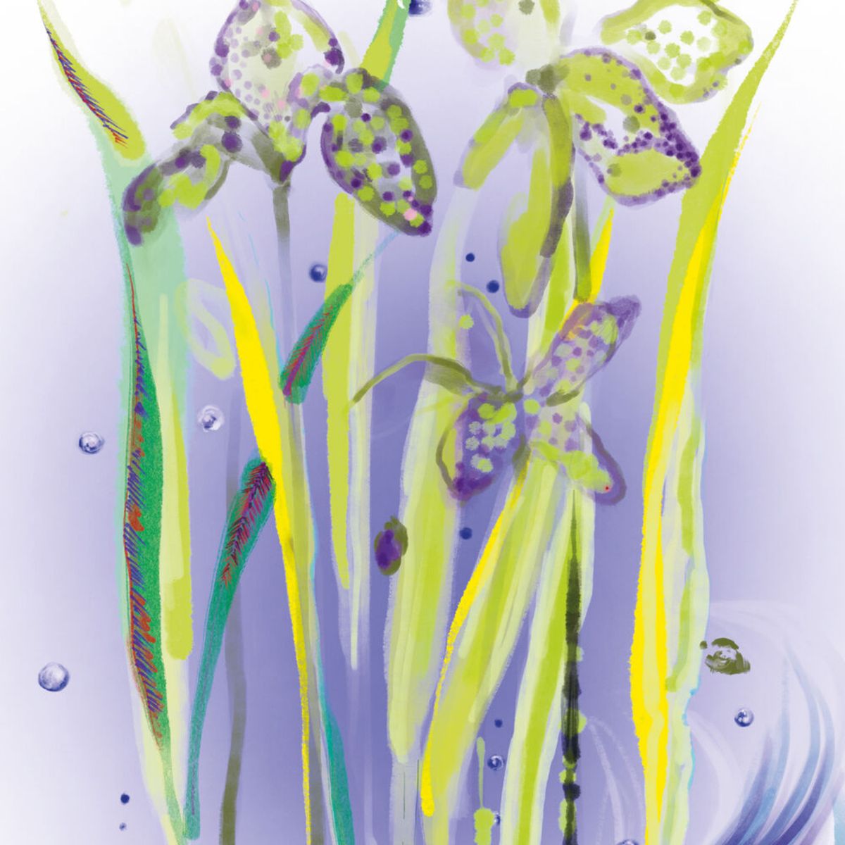 SISLEY - L¿eau Revee D¿alma Edt 50 Ml Sisley Mujer