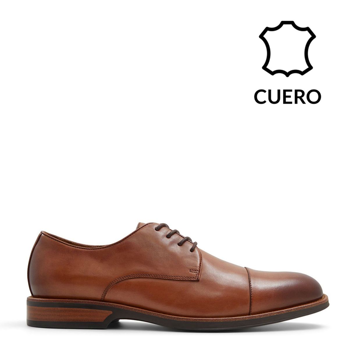 ALDO - Zapato Hombre Aldo Hanks Marrón