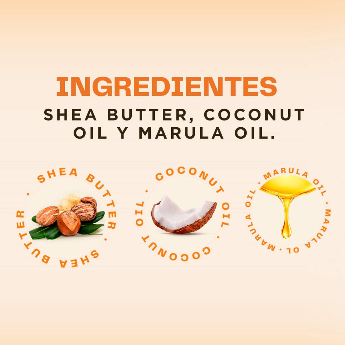 KATIVA - Shampoo Para Cabello Seco O Dañado 1lt Kativa