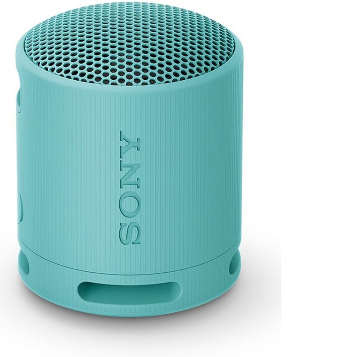 SONY - Sony Parlante Bluetooth SRS-XB100 Portátil Waterproof